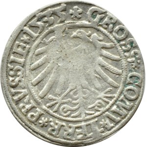 Sigismund I the Old, penny 1535 PRVSSIE/PRVSSIE, Torun