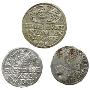 Royal Poland, Sigismund I, Sigismund III, set of pennies, Cracow/Poznan