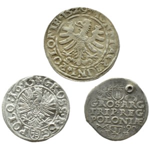 Royal Poland, Sigismund I, Sigismund III, set of pennies, Cracow/Poznan