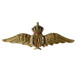 United Kingdom, RAF pin badge