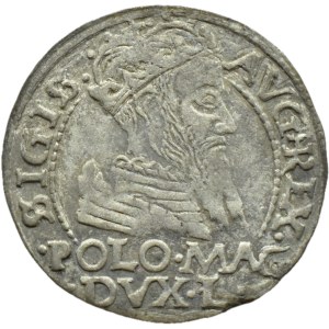 Sigismund II Augustus, Pfennig pro polnischen Fuß 1566 L/LIT, Tykocin RZADKI