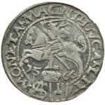 Sigismund II Augustus, Pfennig pro polnischen Fuß 1566 L/LIT, Tykocin RZADKI