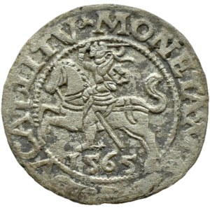 Sigismund II Augustus, half-penny 1565 WITHOUT TOPOR, Vilnius, LITV/L