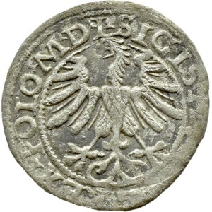 Sigismund II Augustus, half-penny 1565 WITHOUT TOPOR, Vilnius, LITV/L