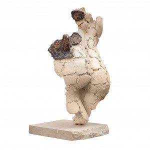 Jacek Opała, Lady Curvy, 2024