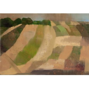 Pola Piestrzeniewicz (b. 1996, Lublin), August Landscape, 2024