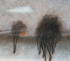 Dawid Zdobylak (ur. 1993), Zima, 2019