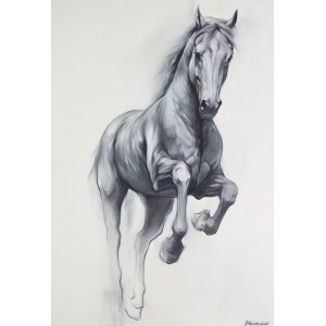 Weronika Formejster (ur. 1999), Shadow Line, 2024