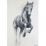 Weronika Formejster (ur. 1999), Shadow Line, 2024