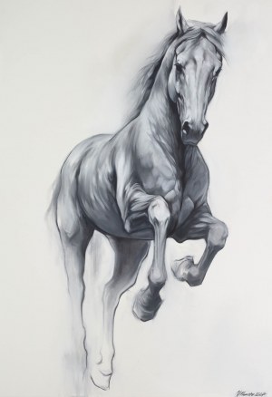 Weronika Formejster (ur. 1999), Shadow Line, 2024