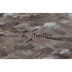 Franz Streitt (1839 Brody presso Leopoli - 1890 Monaco), Musicisti erranti in un villaggio della Galizia