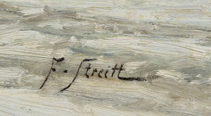 Franciszek Streitt (1839 Brody k. Lwowa - 1890 Monachium), Wypadek w podróży (