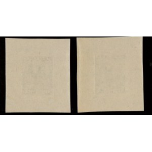 Russia 1918 stamp essays 70 kop