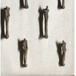 Bozenna Biskupska, Delineating the Image 0-1, 2007