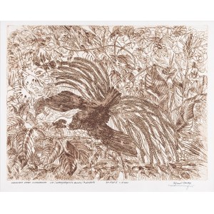 Ryszard Osadczy, Paradisaea apoda. Cudowronka, 2006