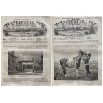WEEKLY ILLUSTRATED 1877