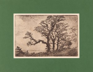Józef PANKIEWICZ (1866-1940), Wybrzeże w Henfleur we Francji