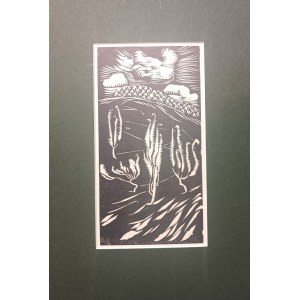 Ludwik MISKY (1884-1938), Ginepri nei Beskidi, 1928