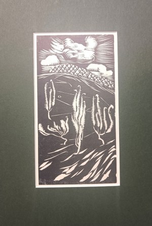 Ludwik MISKY (1884-1938), Jałowce w Beskidach, 1928