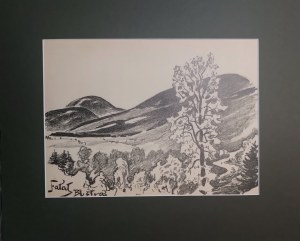 Julian FAŁAT (1853 - 1929), Skrzyczne widziane z Bystrej, 1928