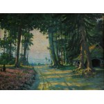 Otto Hänssgen, Forest landscape with road and heather