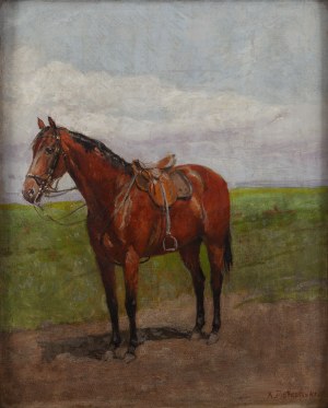 Antoni Piotrowski (1853 Nietulisko Duże k. Kunowa - 1924 Warszawa), 