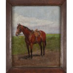 Antoni Piotrowski (1853 Nietulisko Duże near Kunów - 1924 Warsaw), Portrait of Furiosa (horse).