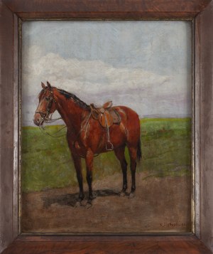 Antoni Piotrowski (1853 Nietulisko Duże k. Kunowa - 1924 Warszawa), 