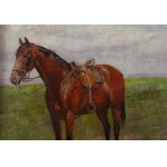 Antoni Piotrowski (1853 Nietulisko Duże near Kunów - 1924 Warsaw), Portrait of Furiosa (horse).