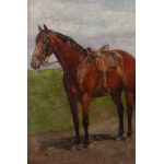 Antoni Piotrowski (1853 Nietulisko Duże near Kunów - 1924 Warsaw), Portrait of Furiosa (horse).