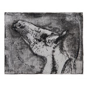 Lachur Zdzislaw, The horse as it is......