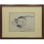 Wojciech WEISS (1875-1950), Nero - pies artysty, ok. 1900