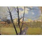 Emilia KNAUSÓWNA (1883-1924), Flowering Tree
