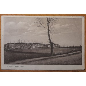 Lowicz.Castle Ruins.