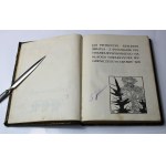 Pietrzycki, Refleksy światła z rys. Wyspiańskiego + Ostrowska, Poezye