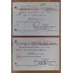 Końskie,Machory.13.kart pocztowych kierowanych do Fabryki Tektury w Machorach
