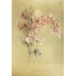 Bruno BRUNI [ur. 1936] Orchidea Verde, 1988 r.