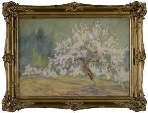 Antoni CHRZANOWSKI (1905-2000), Kwitnący sad