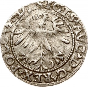 Lithuania Polgrosz 1563 Vilnius
