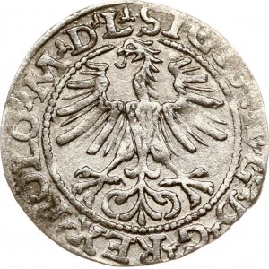 Lithuania Polgrosz 1564 Vilnius