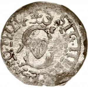 Lithuania Szelag 1614 Vilnius LIT/V Rare Type