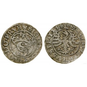 Poland, sheląg, 1530, Torun