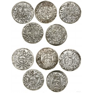 Ducal Prussia (1525-1657), flight of 5 half-tracks