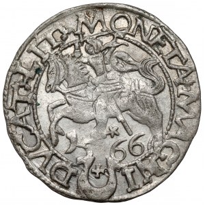 Zygmunt II August, Półgrosz Tykocin 1566 - Jastrzębiec