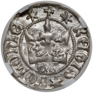Kazimierz IV Jagiellończyk, Półgrosz Kraków - litery MK