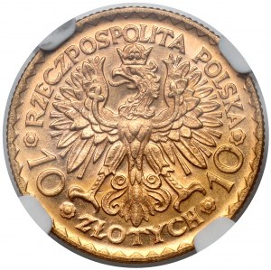 Brave 10 gold 1925