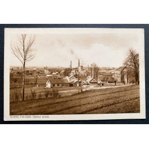 BOREK FAŁĘCKI. Ogólny widok.