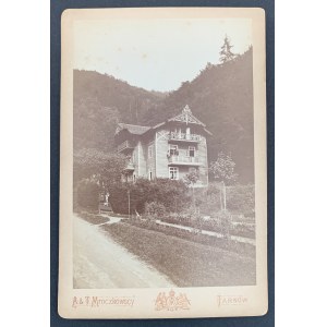 Fotografia kartonikowa. ŻEGIESTÓW ZDRÓJ. Dom nad Wodospadem [ok.1910]