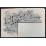 Photographie en carton. Homme. Częstochowa.