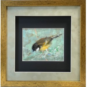 PIOTR PILAWA BIRD
